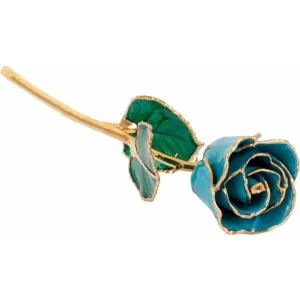 24k Gold Rose - "Aquamarine"