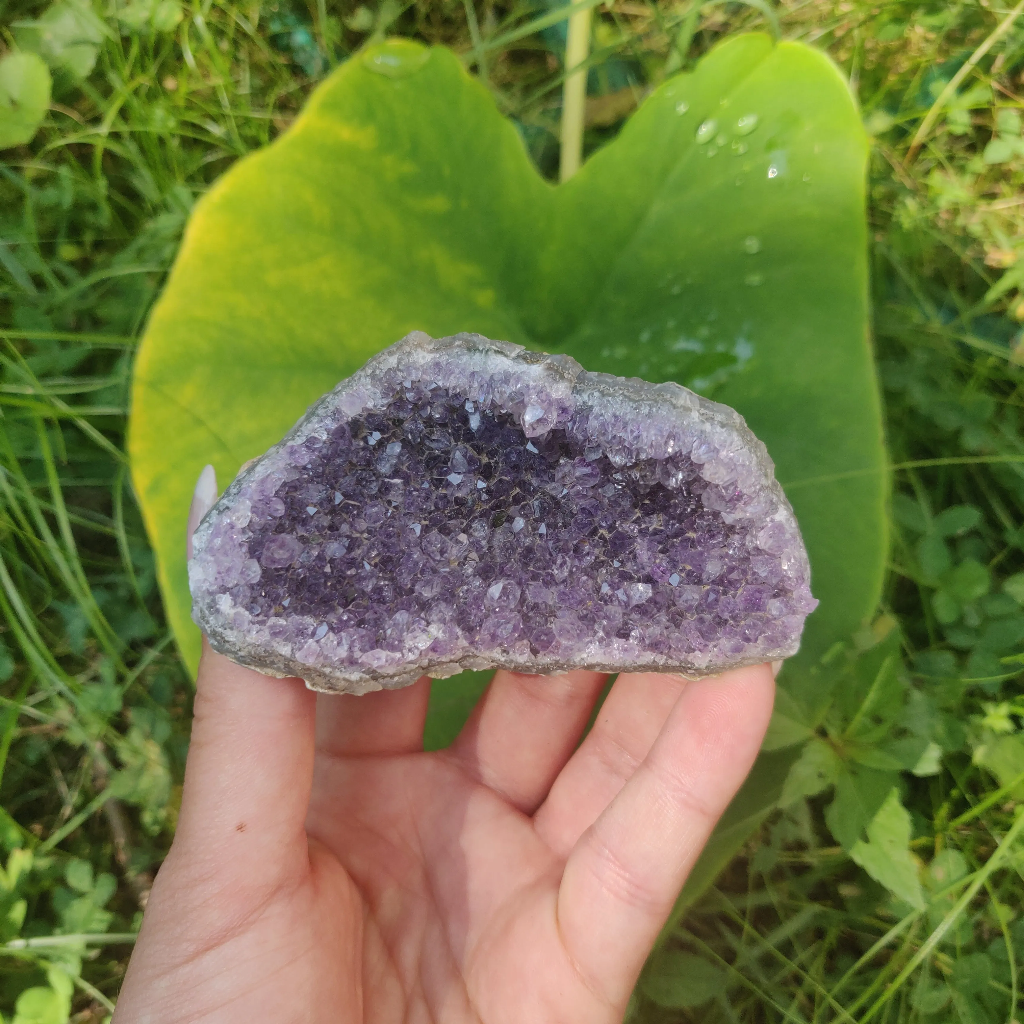 Amethyst Cluster (#4C)