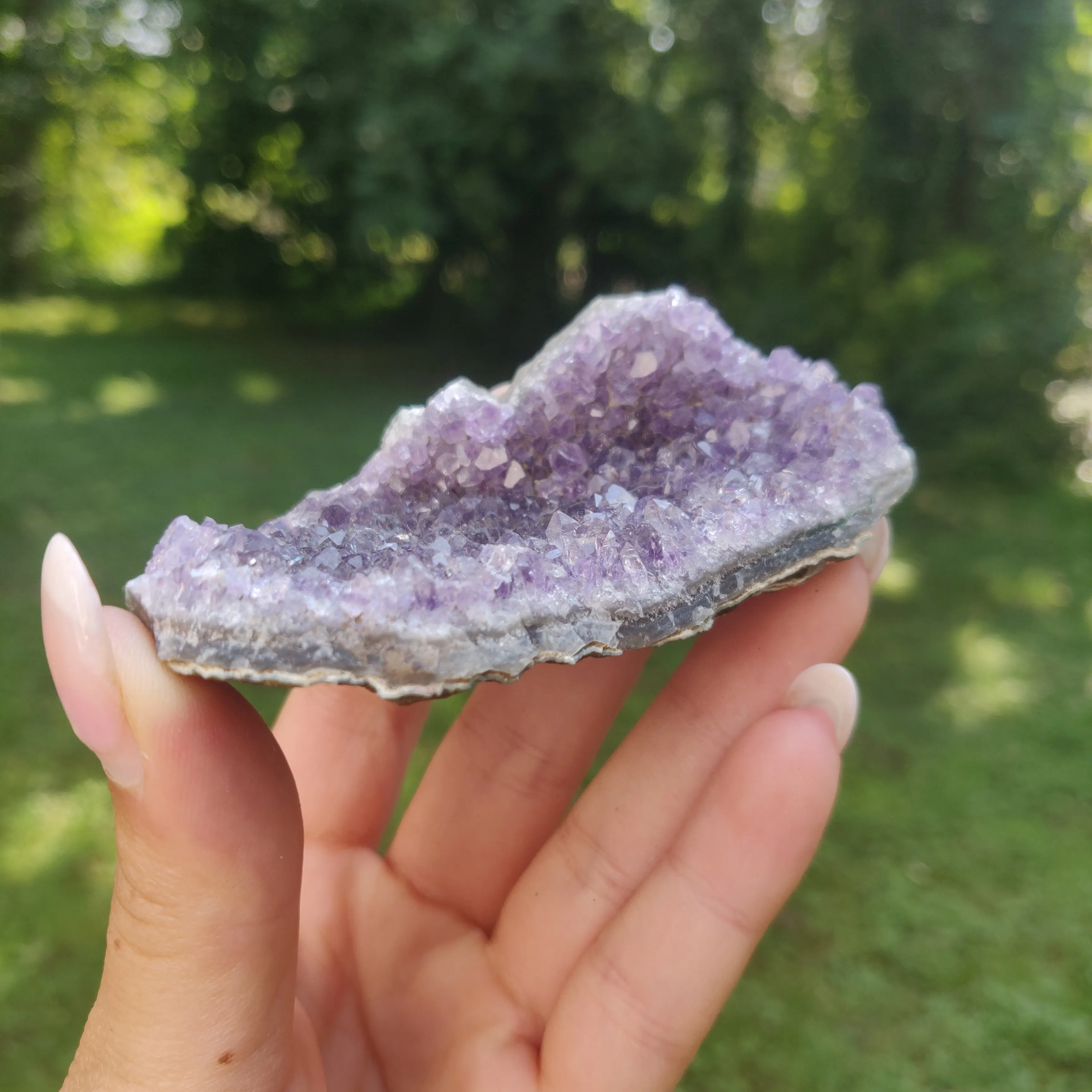 Amethyst Cluster (#4C)