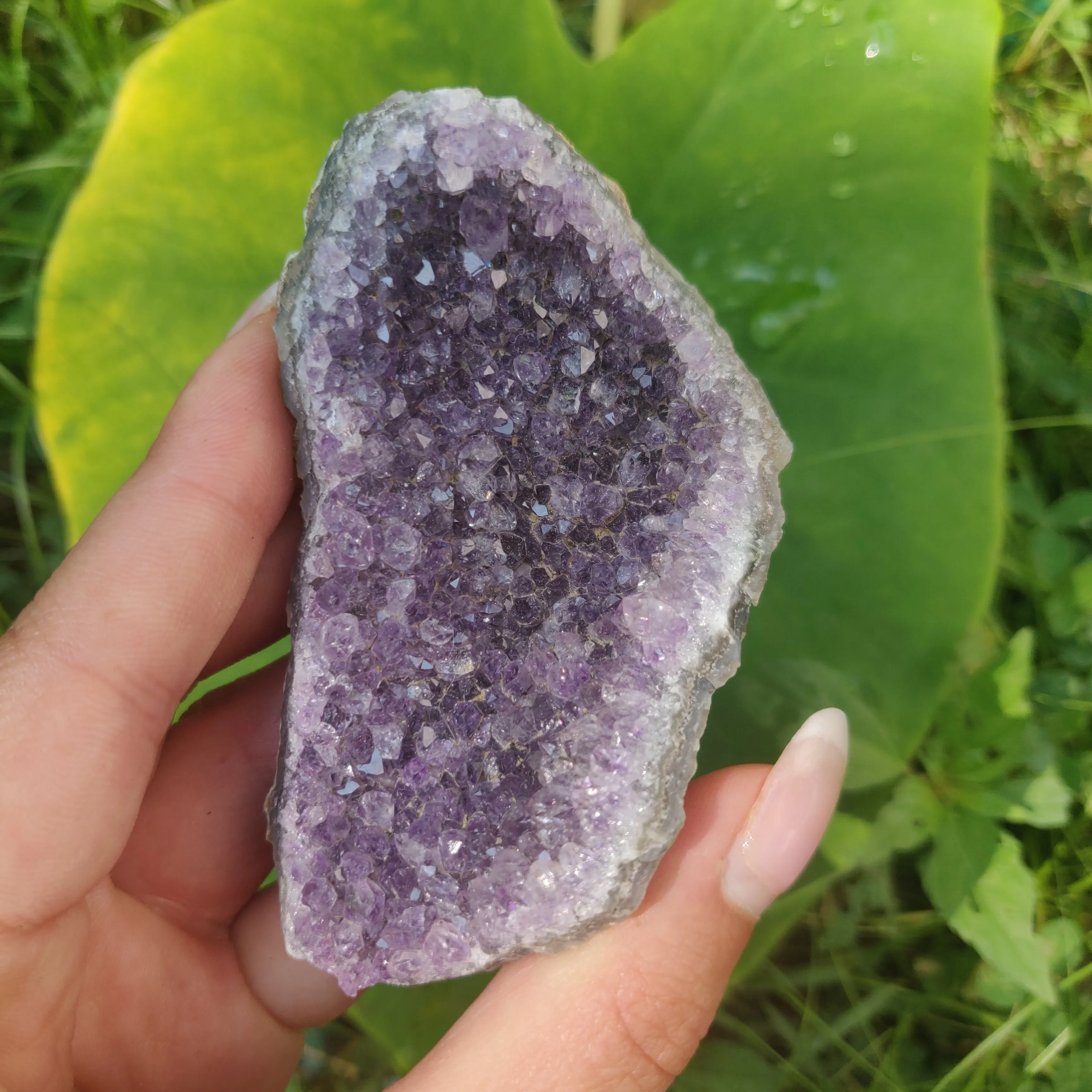 Amethyst Cluster (#4C)