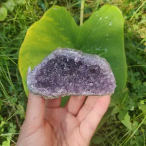 Amethyst Cluster (#4C)