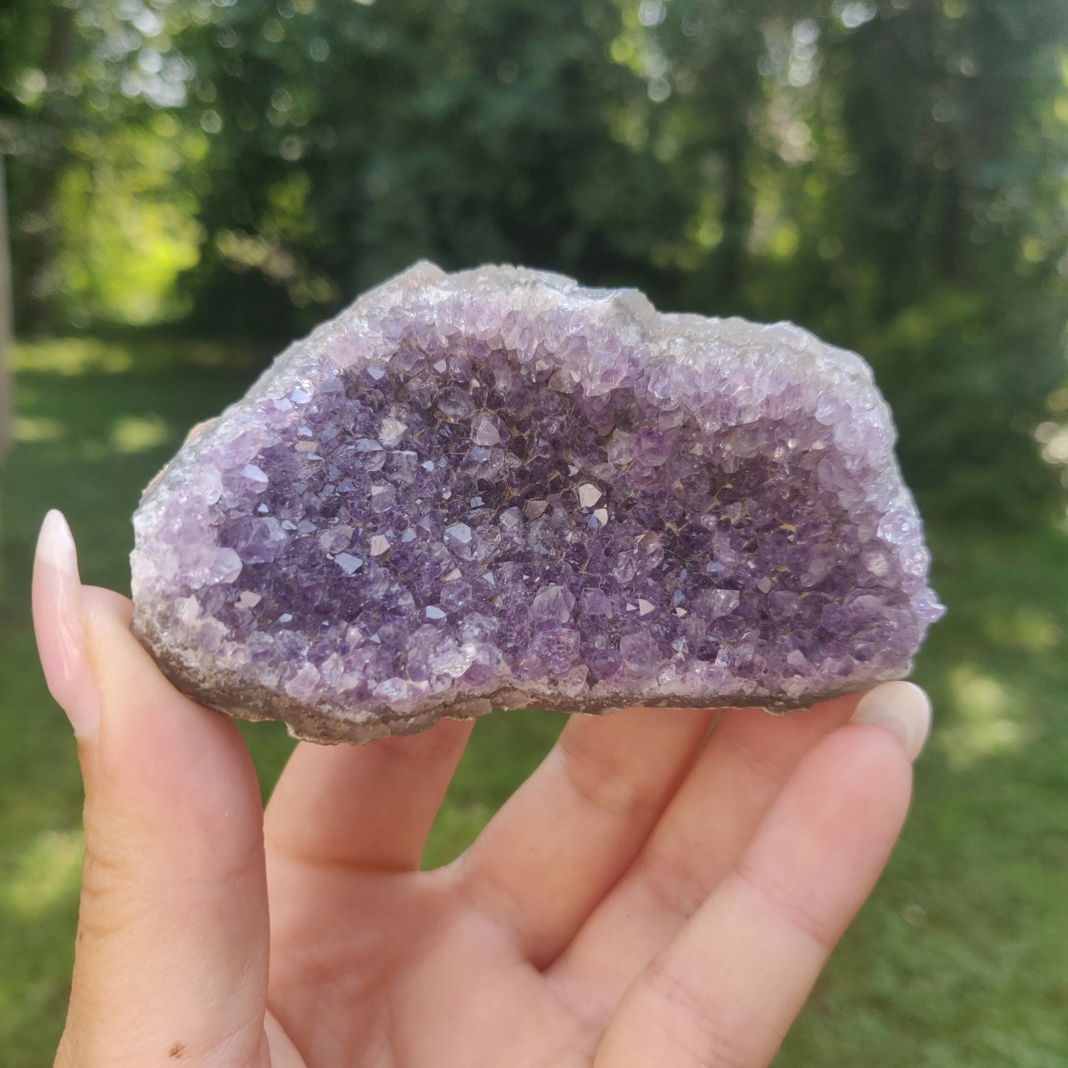 Amethyst Cluster (#4C)