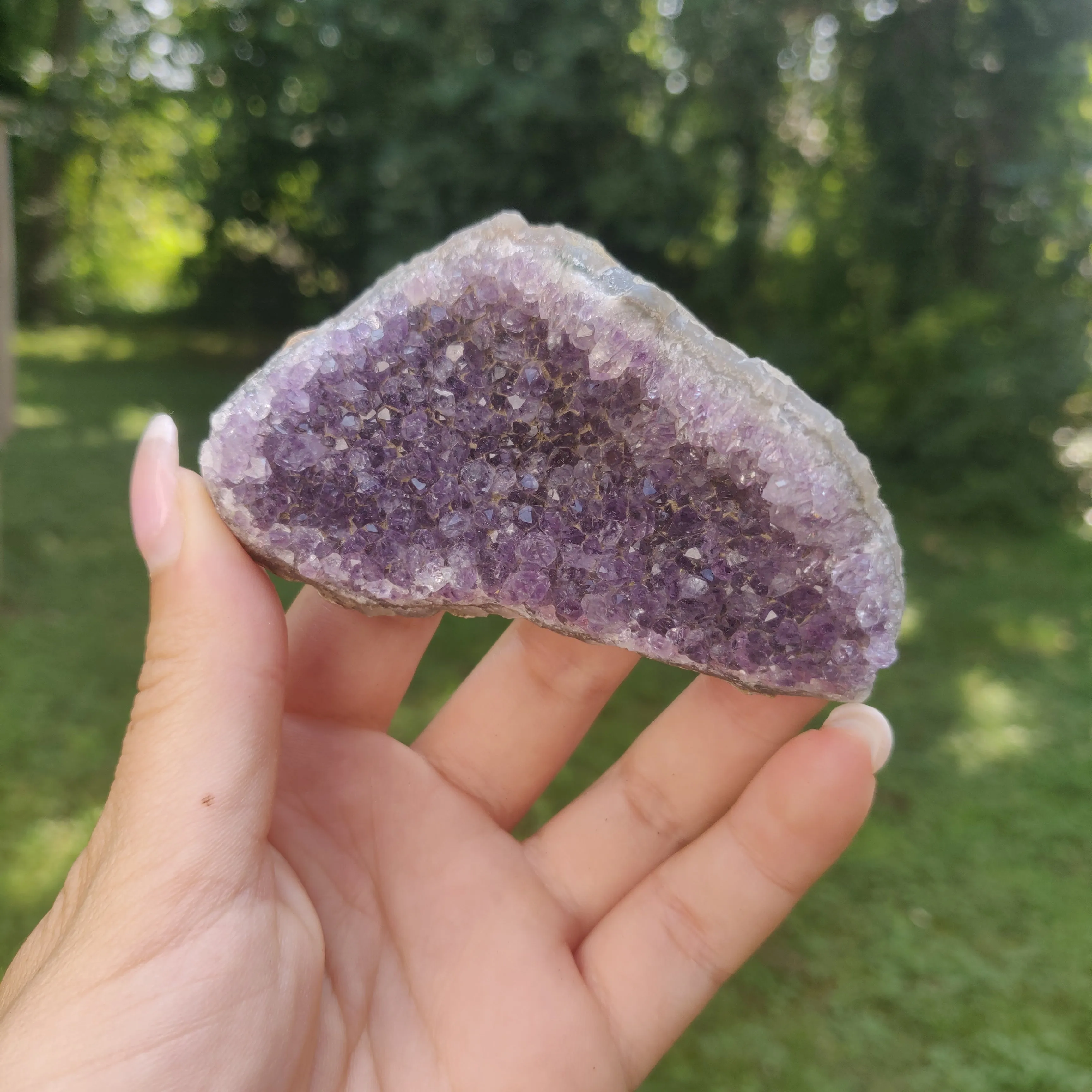 Amethyst Cluster (#4C)