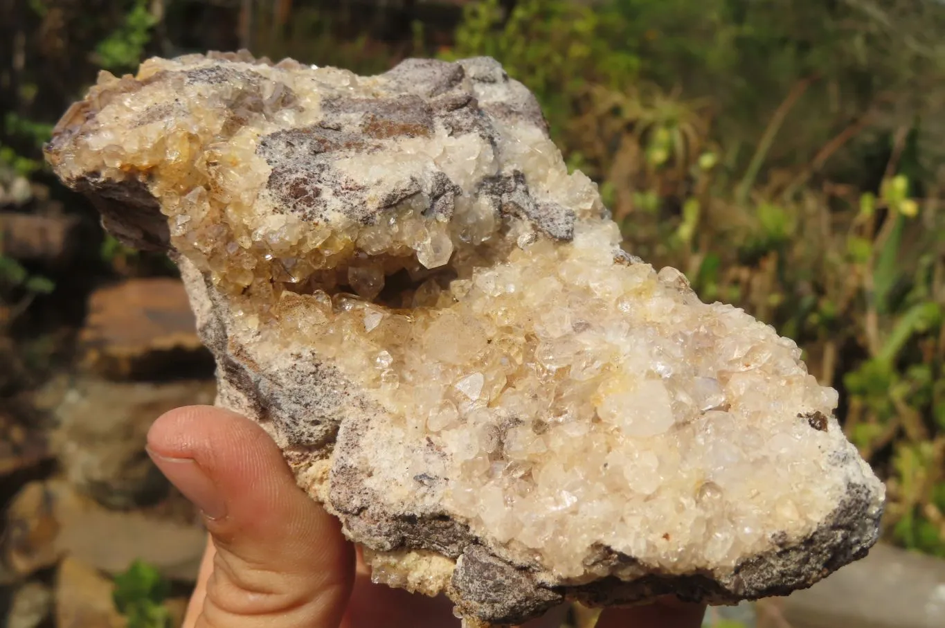 Natural Limonite Quartz Clusters x 5 From Zambia