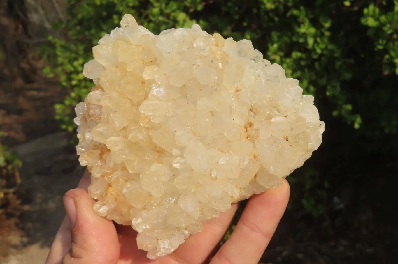 Natural Limonite Quartz Clusters x 5 From Zambia