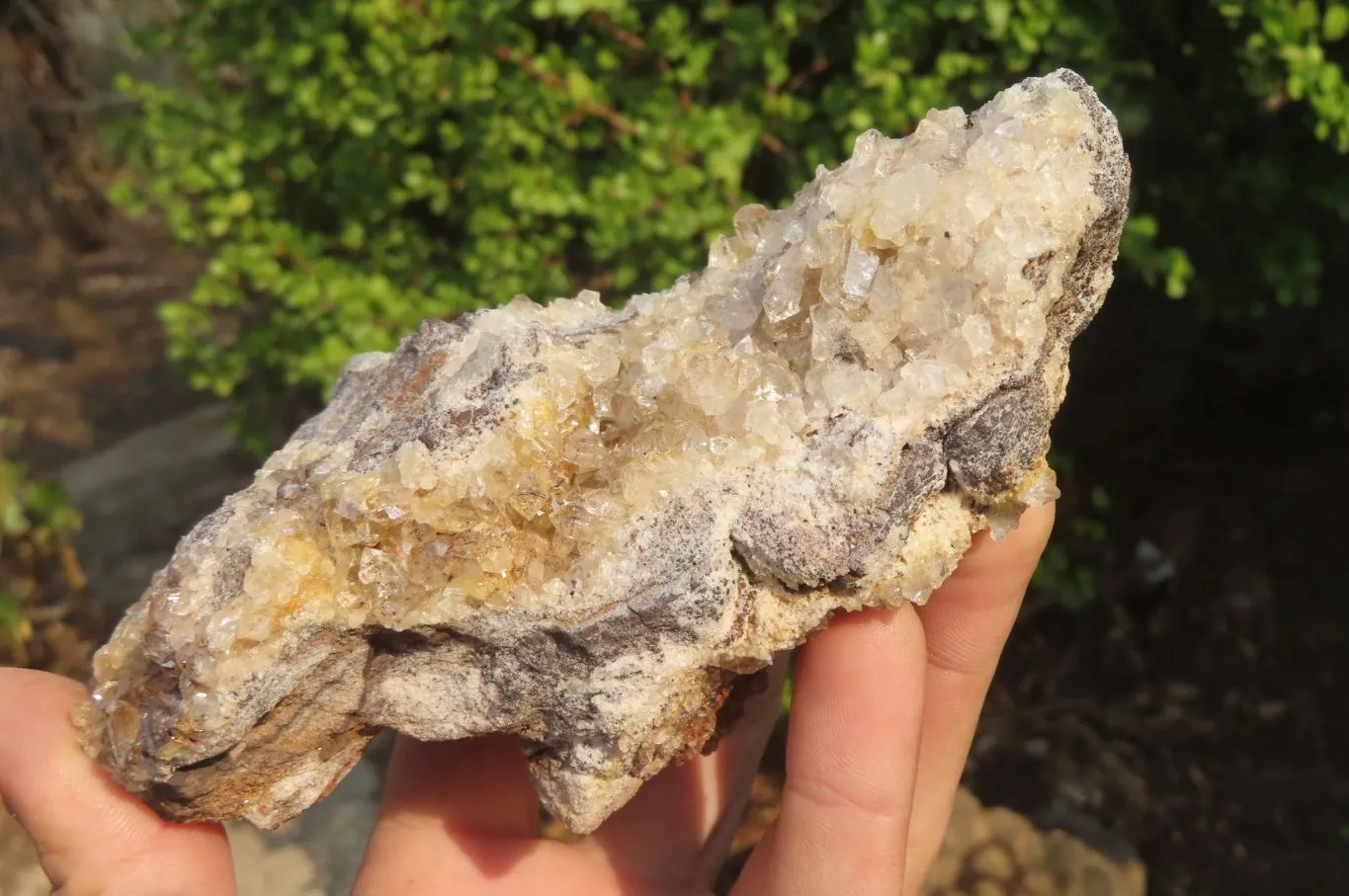 Natural Limonite Quartz Clusters x 5 From Zambia