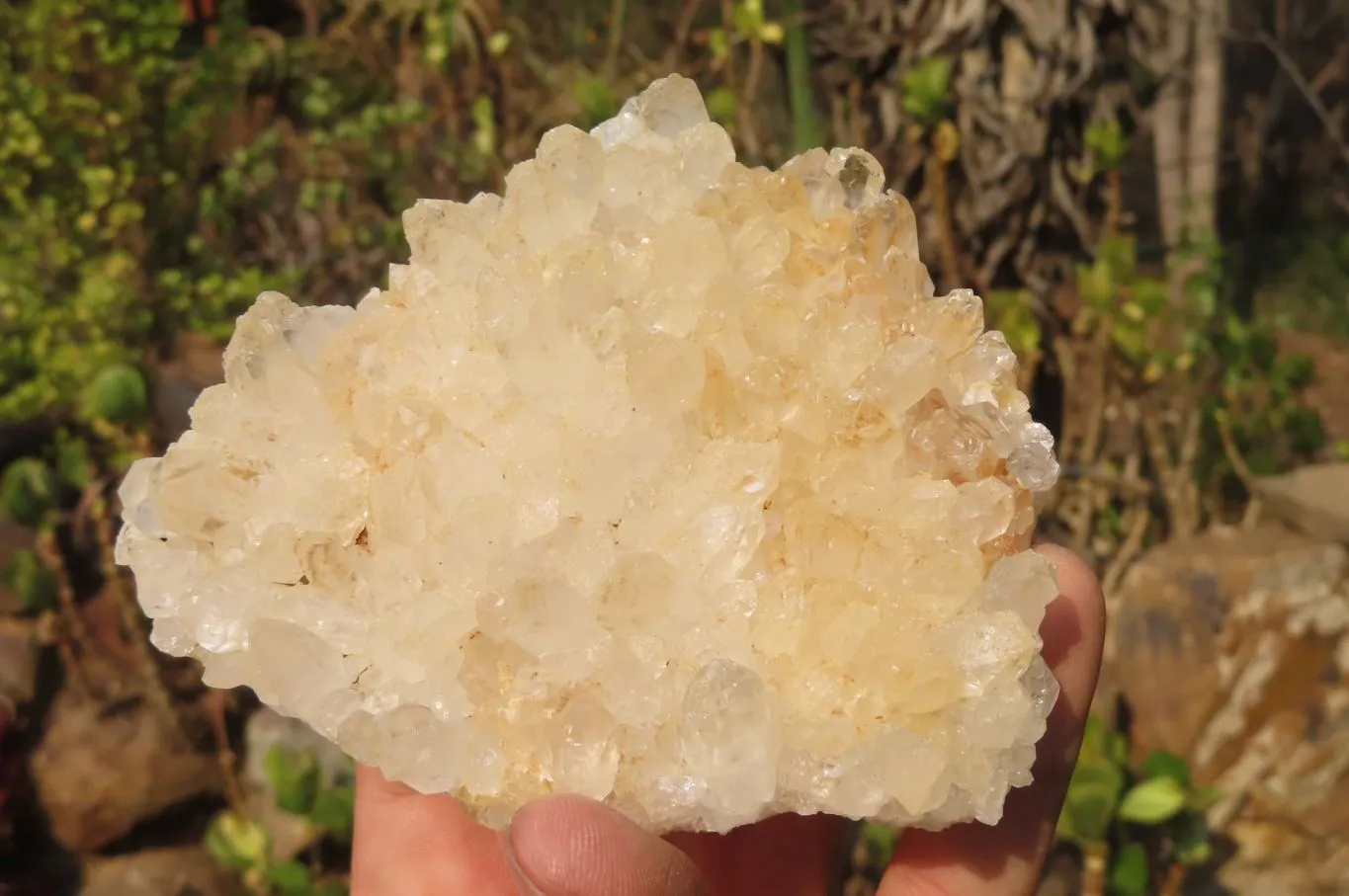 Natural Limonite Quartz Clusters x 5 From Zambia