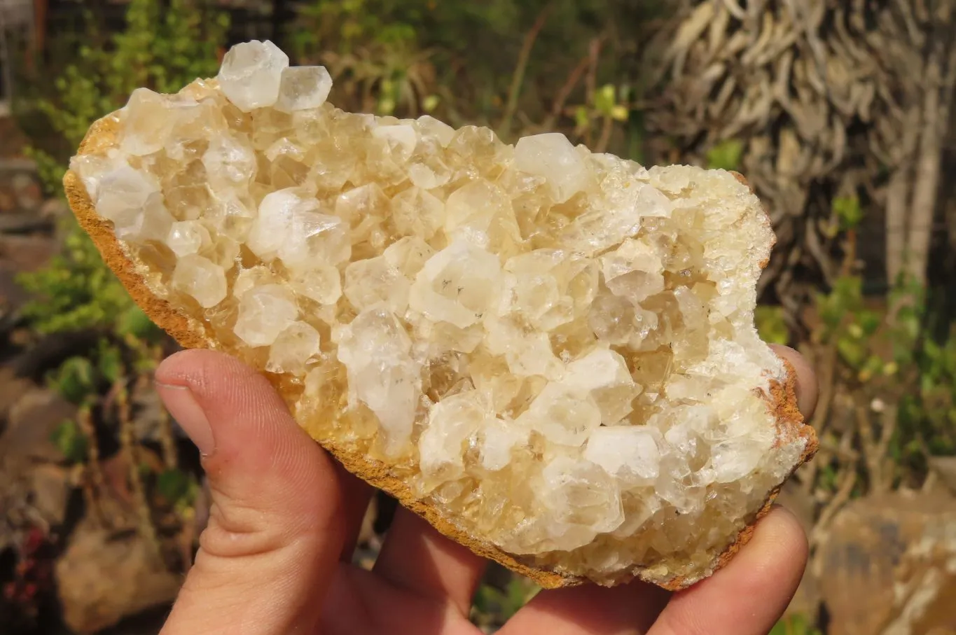 Natural Limonite Quartz Clusters x 5 From Zambia