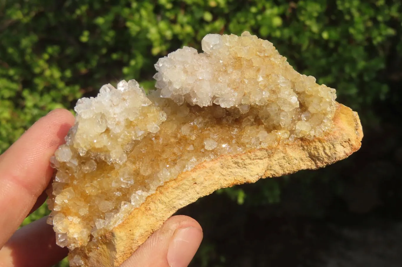 Natural Limonite Quartz Clusters x 5 From Zambia