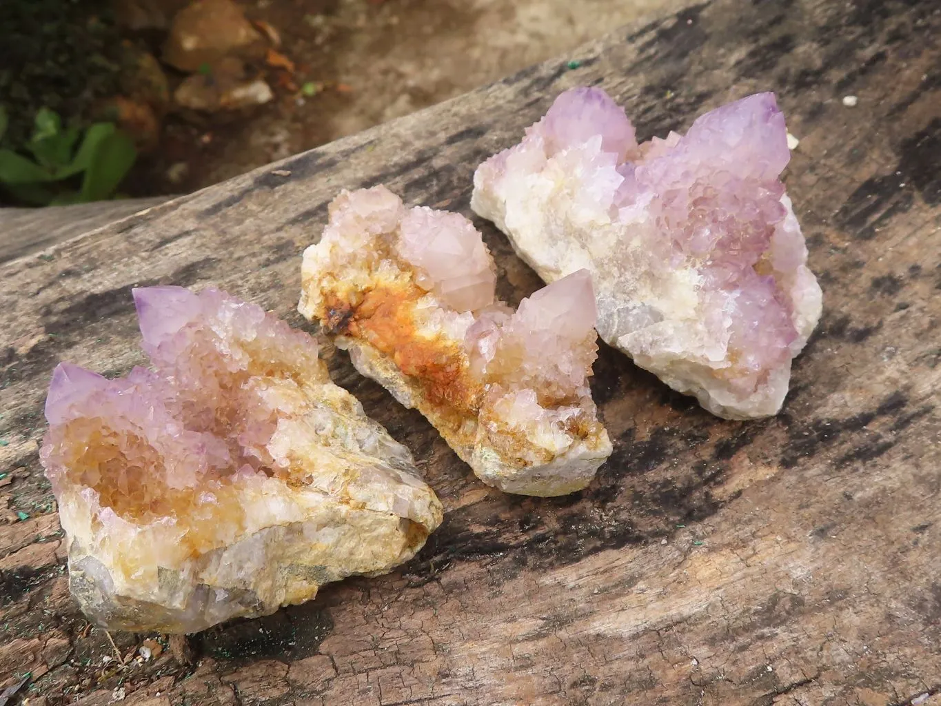 Natural Spirit Amethyst / Ametrine Quartz Clusters x 19 From Boekenhouthoek, South Africa