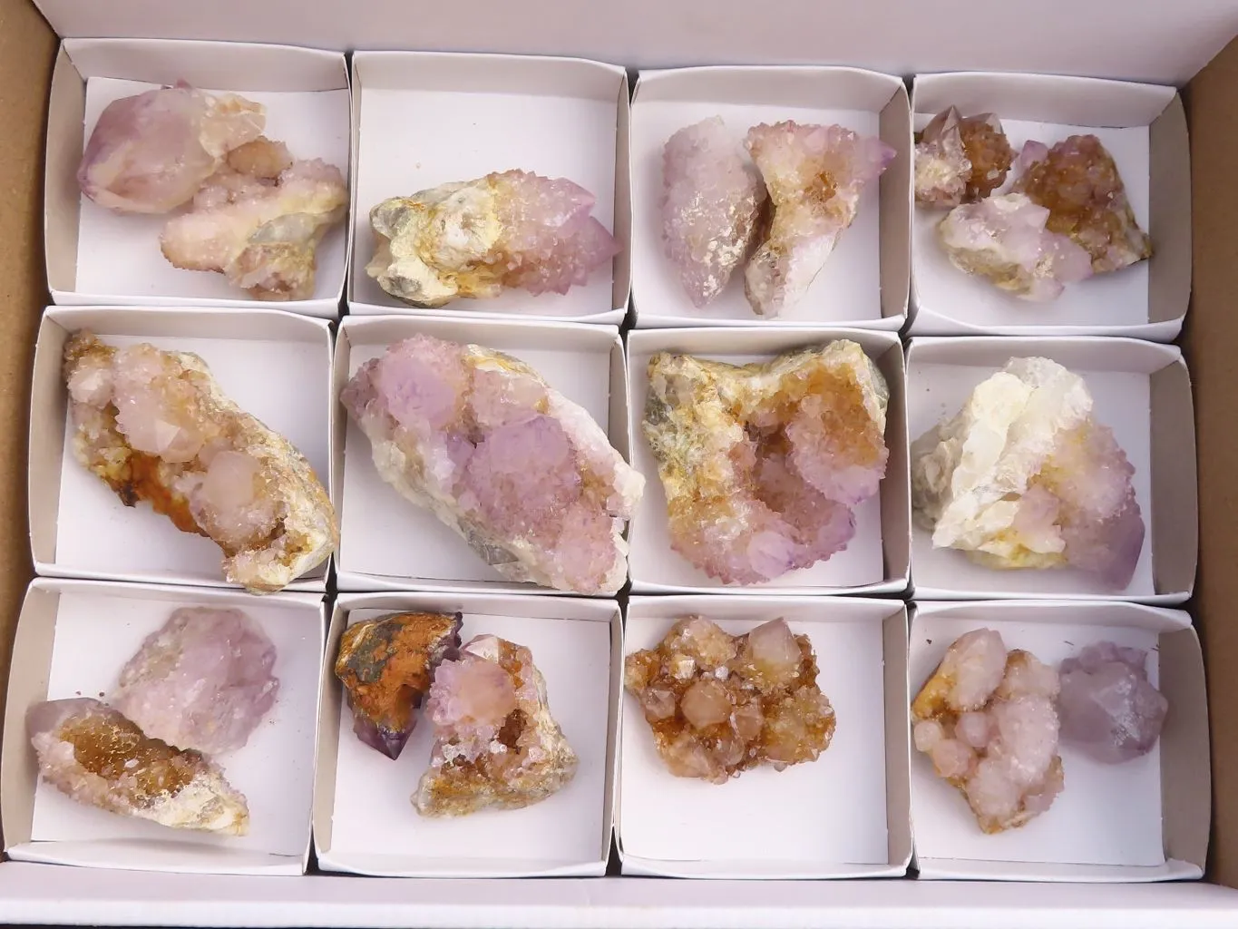 Natural Spirit Amethyst / Ametrine Quartz Clusters x 19 From Boekenhouthoek, South Africa