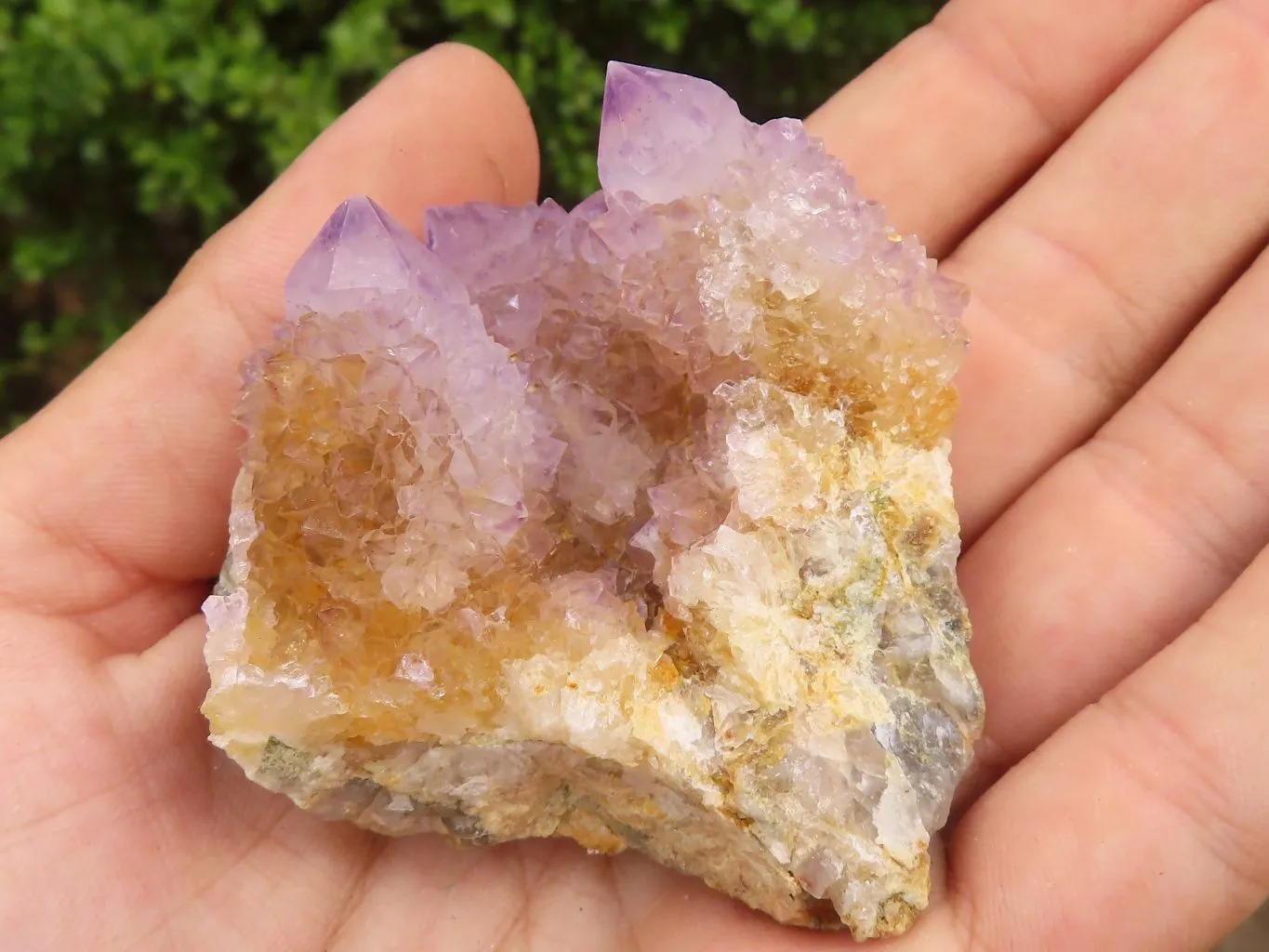 Natural Spirit Amethyst / Ametrine Quartz Clusters x 19 From Boekenhouthoek, South Africa