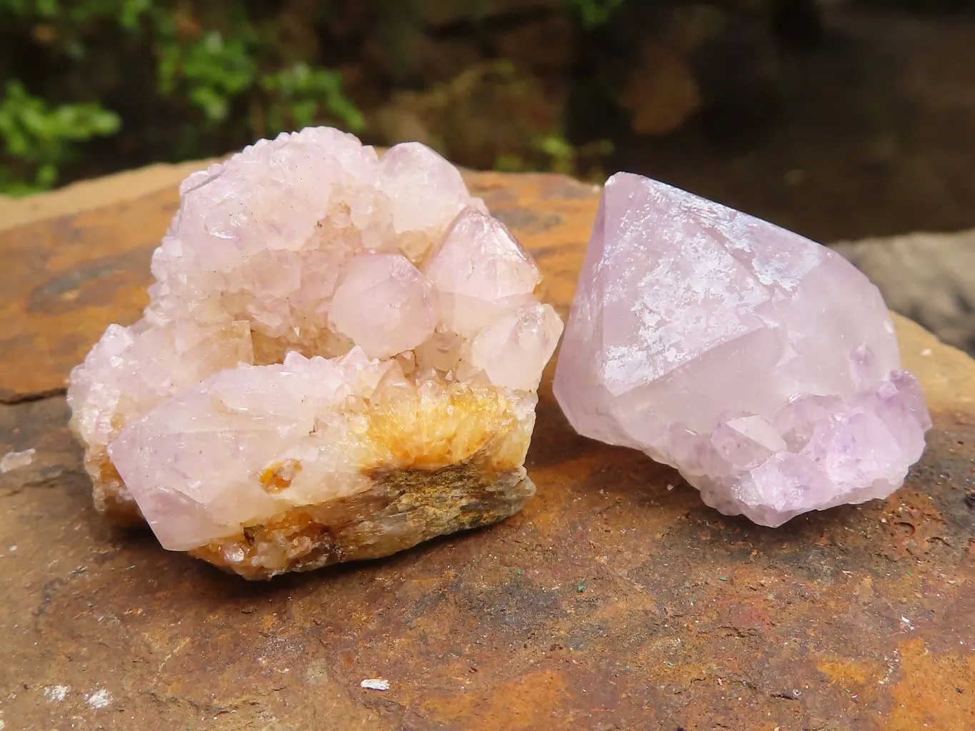 Natural Spirit Amethyst / Ametrine Quartz Clusters x 19 From Boekenhouthoek, South Africa