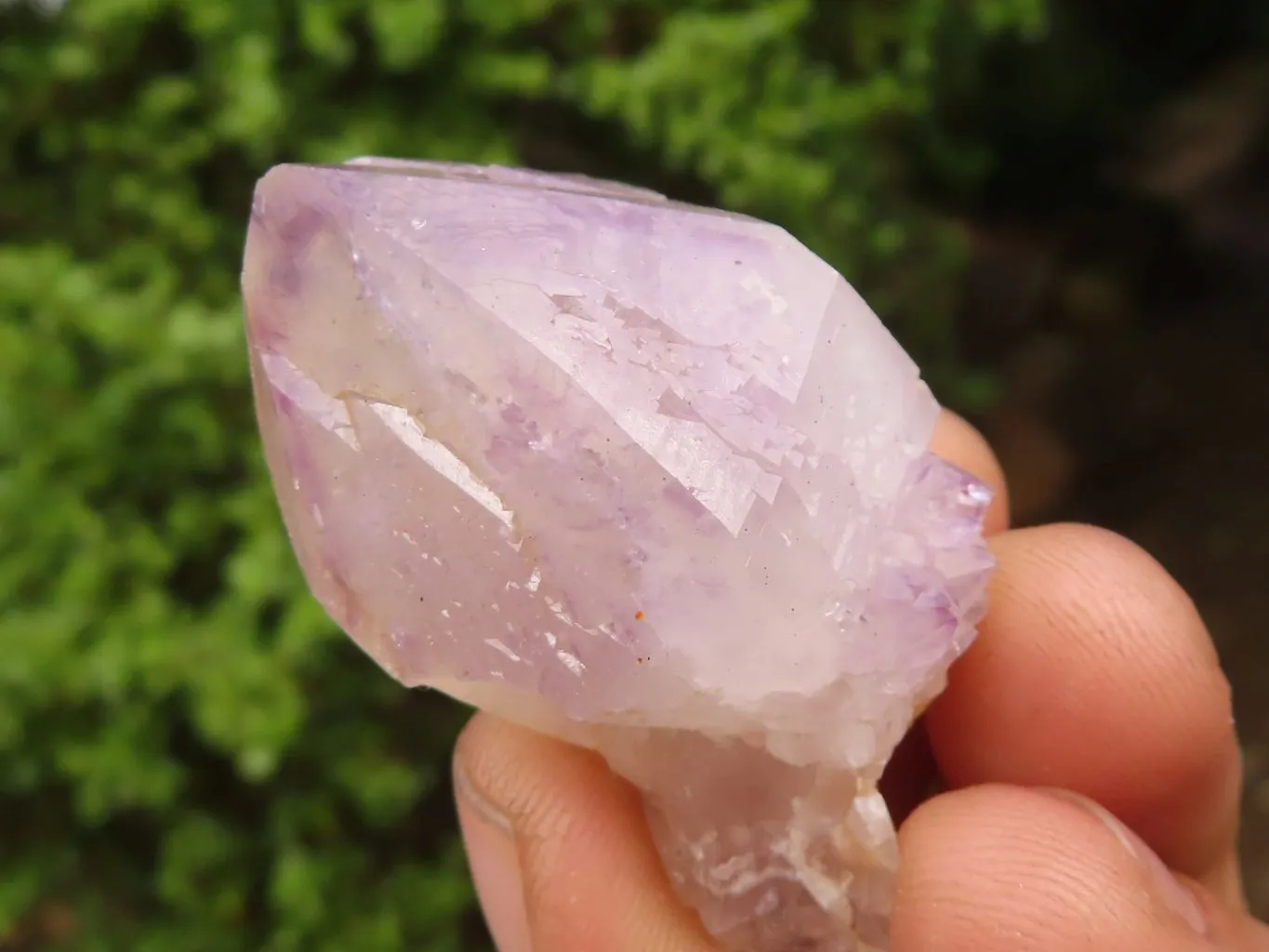 Natural Spirit Amethyst / Ametrine Quartz Clusters x 19 From Boekenhouthoek, South Africa