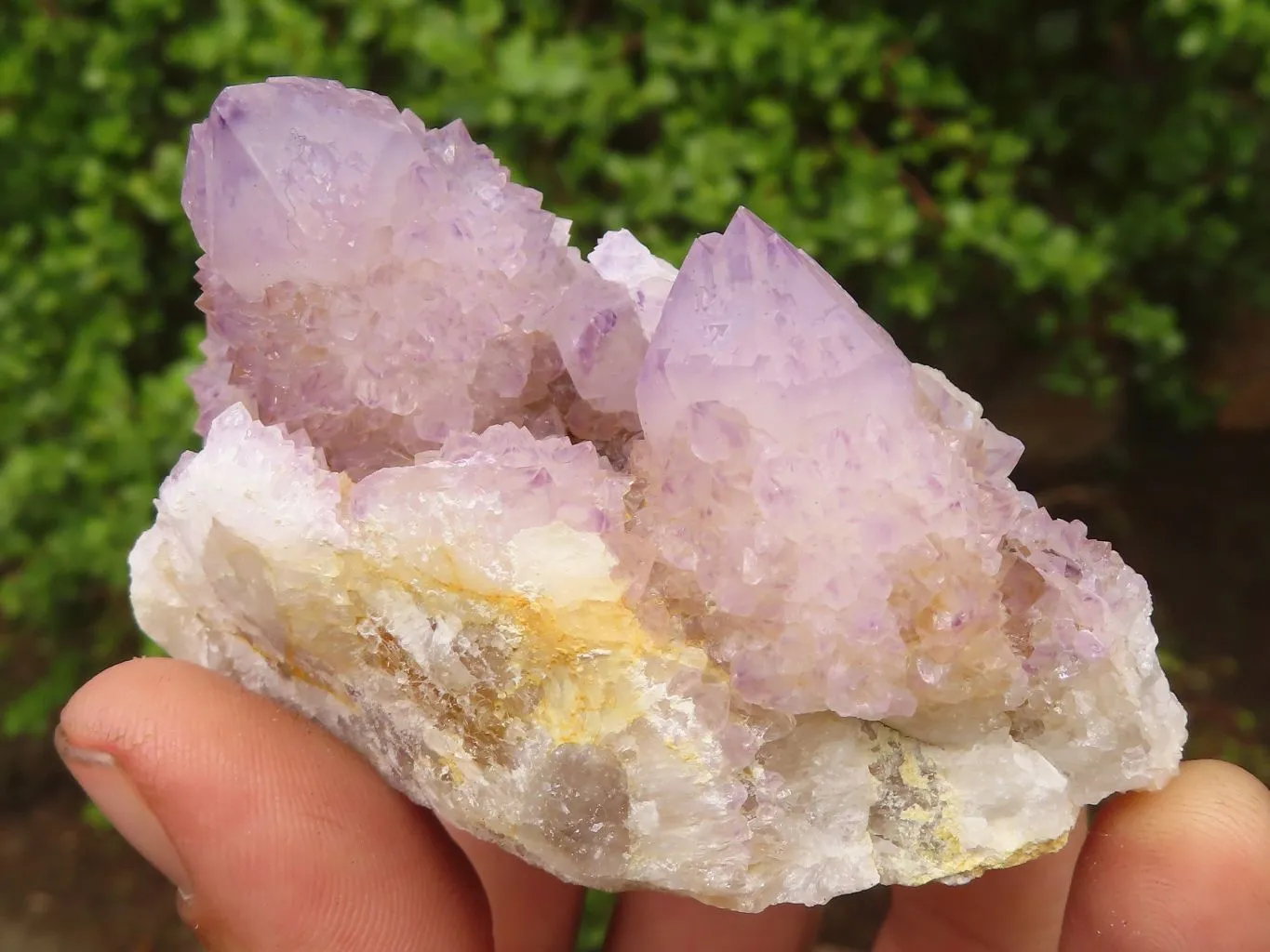 Natural Spirit Amethyst / Ametrine Quartz Clusters x 19 From Boekenhouthoek, South Africa