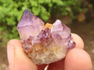 Natural Spirit Amethyst / Ametrine Quartz Clusters x 19 From Boekenhouthoek, South Africa