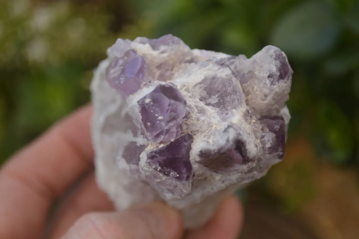 Natural Sugar Amethyst Clusters  x 12 From Solwezi, Zambia