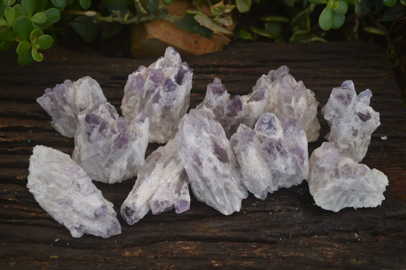 Natural Sugar Amethyst Clusters  x 12 From Solwezi, Zambia