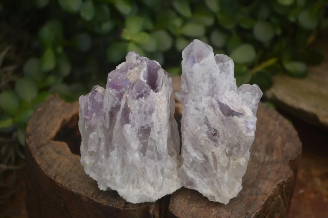 Natural Sugar Amethyst Clusters  x 12 From Solwezi, Zambia