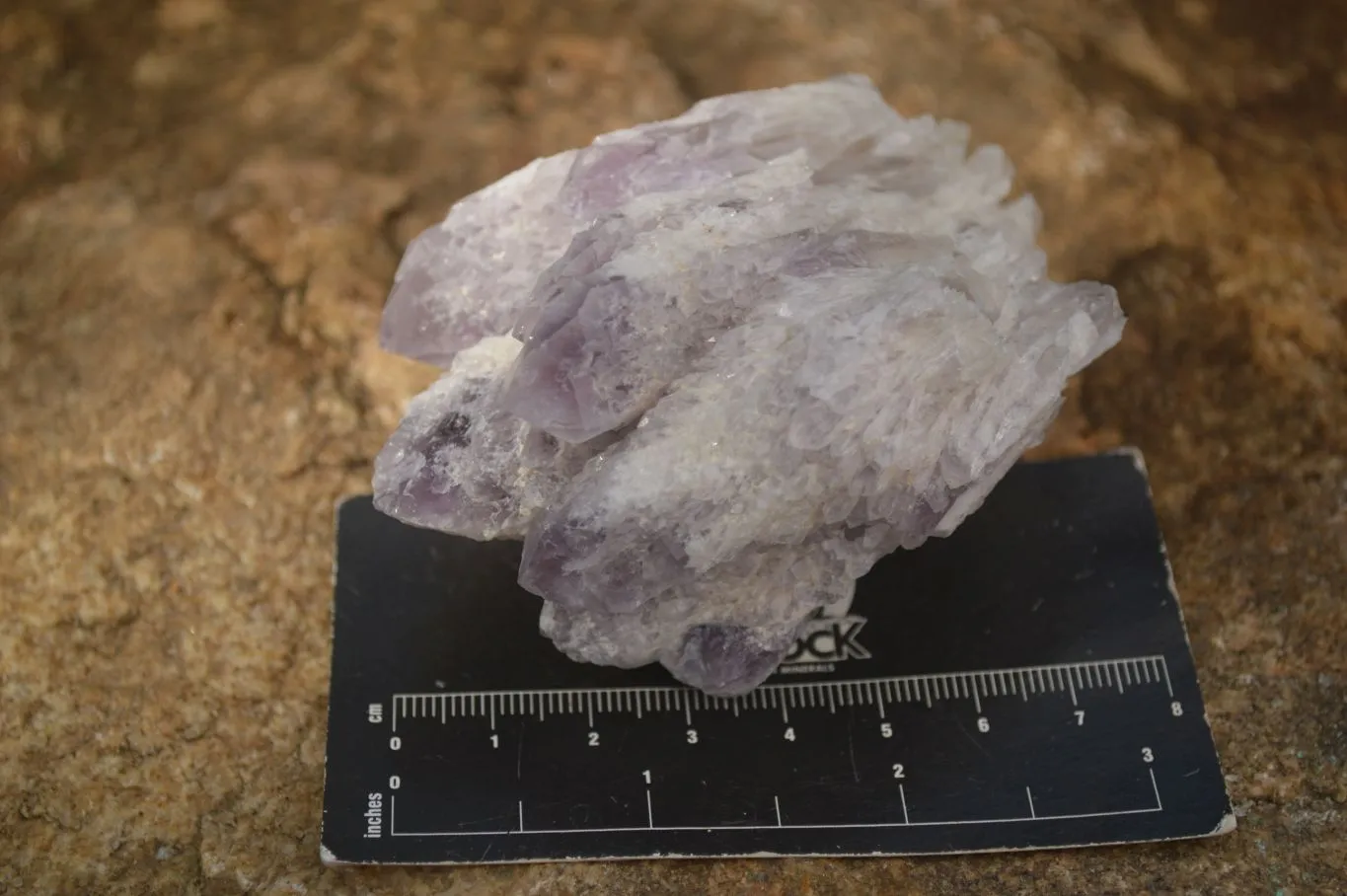 Natural Sugar Amethyst Clusters  x 12 From Solwezi, Zambia