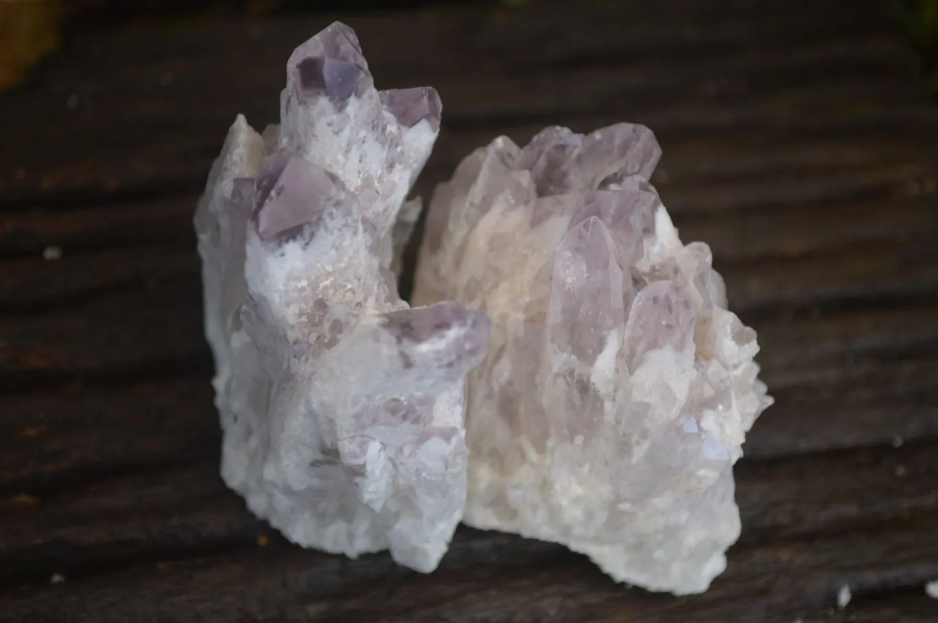 Natural Sugar Amethyst Clusters  x 12 From Solwezi, Zambia