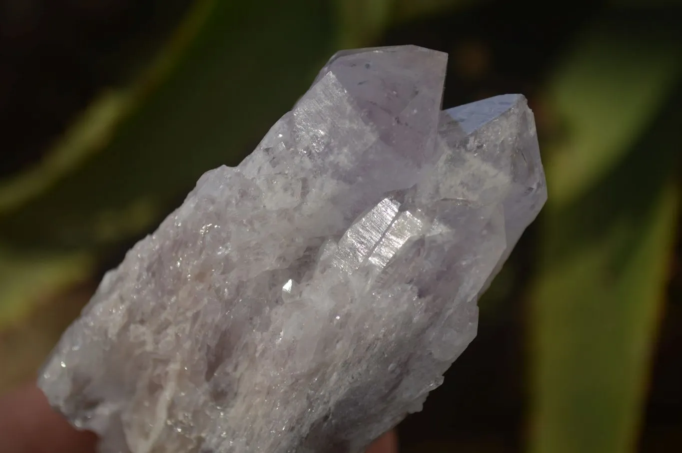 Natural Sugar Amethyst Clusters  x 12 From Solwezi, Zambia