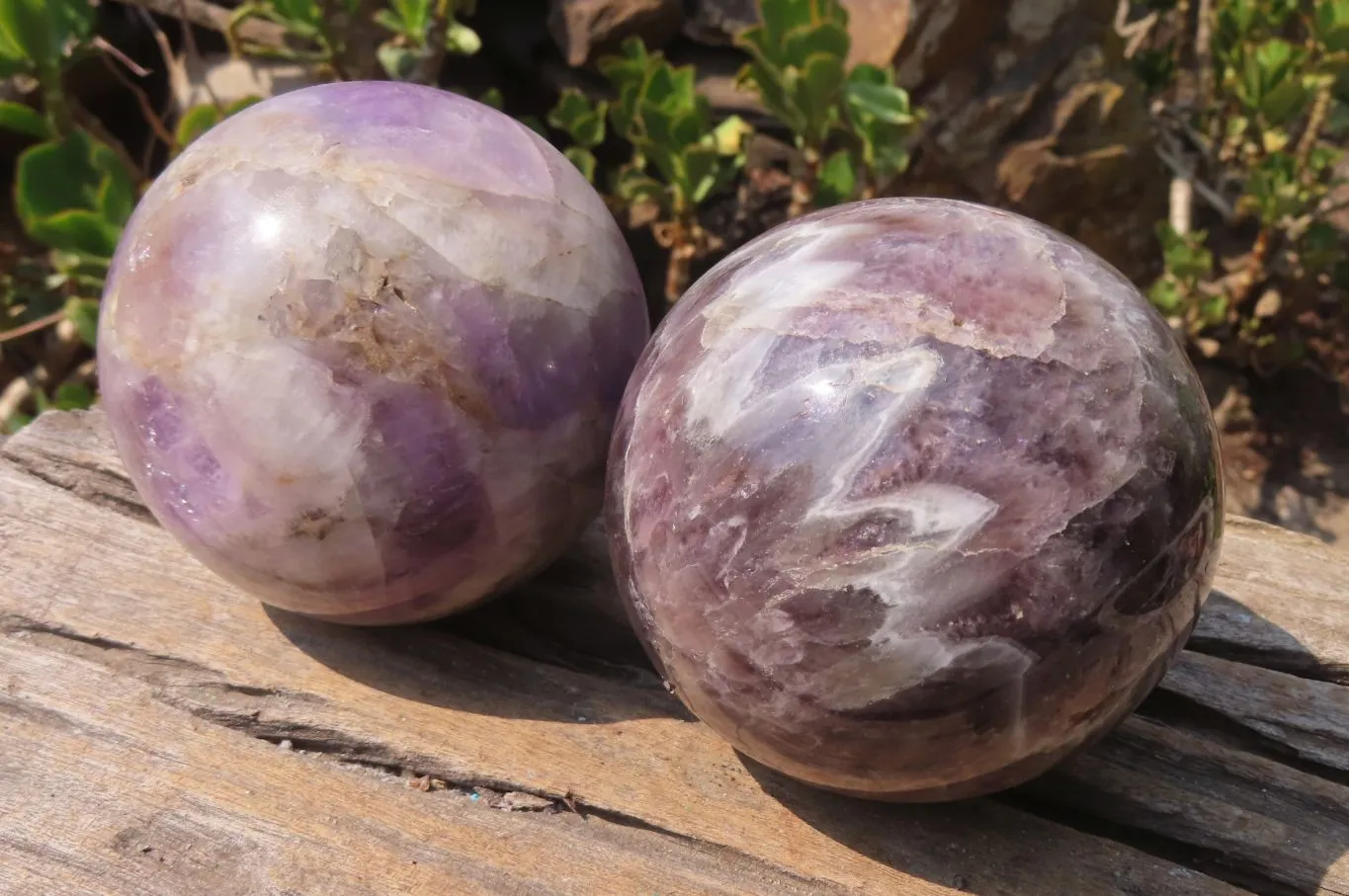 Polished Chevron Amethyst Spheres x 2 From Madagascar