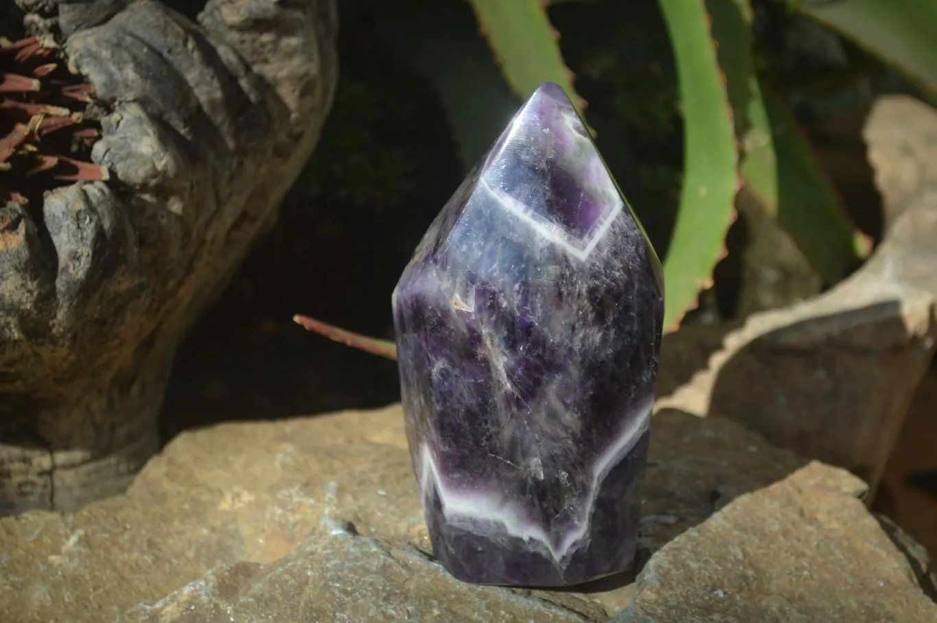 Polished Dream Amethyst Point x 1 From Madagascar