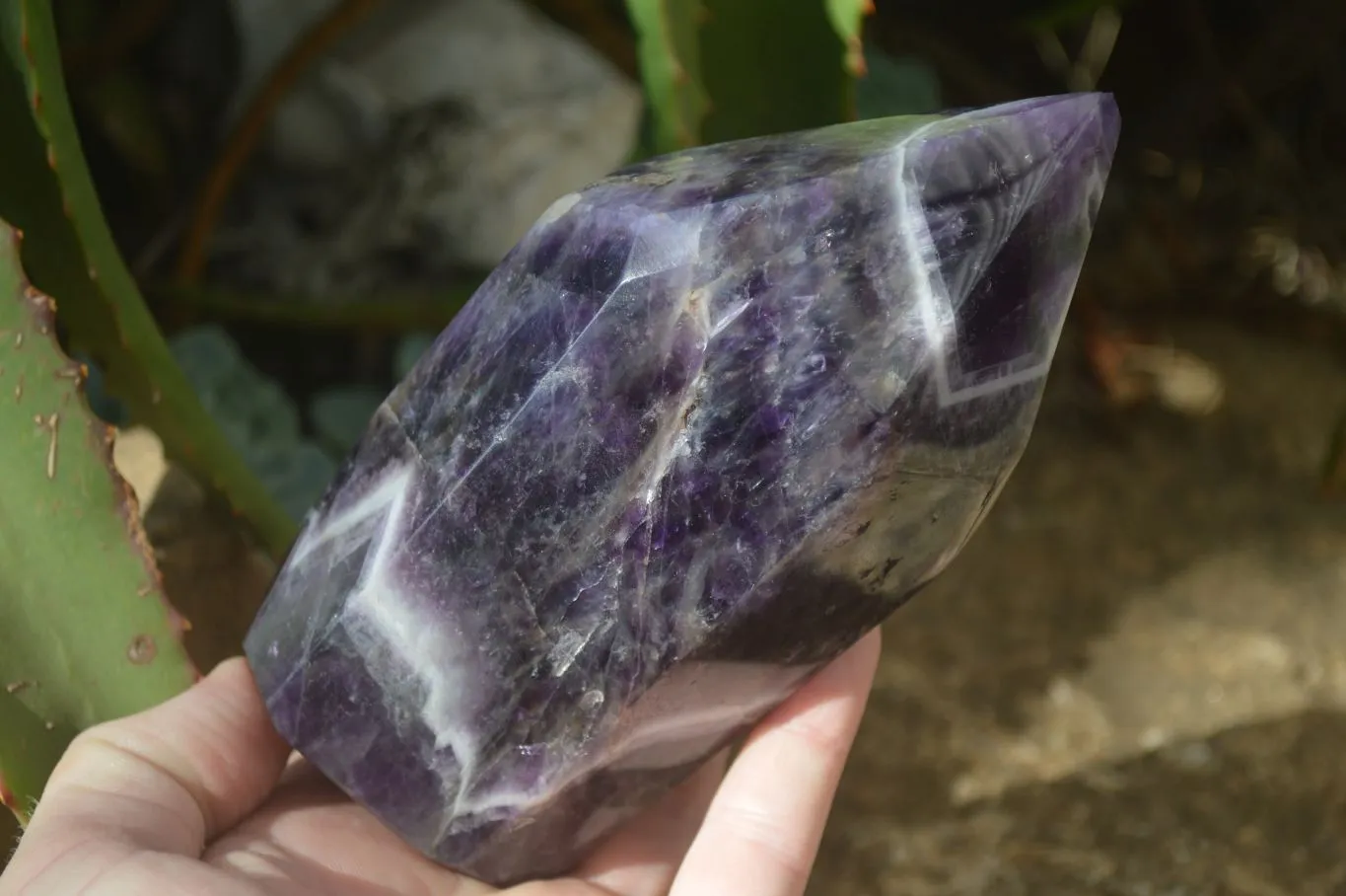 Polished Dream Amethyst Point x 1 From Madagascar