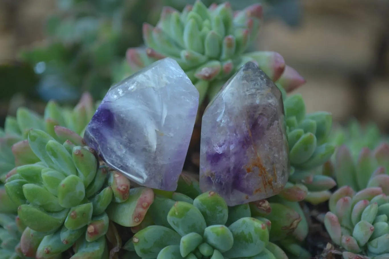 Polished Dream and Other Amethyst Points x 24 From Madagascar