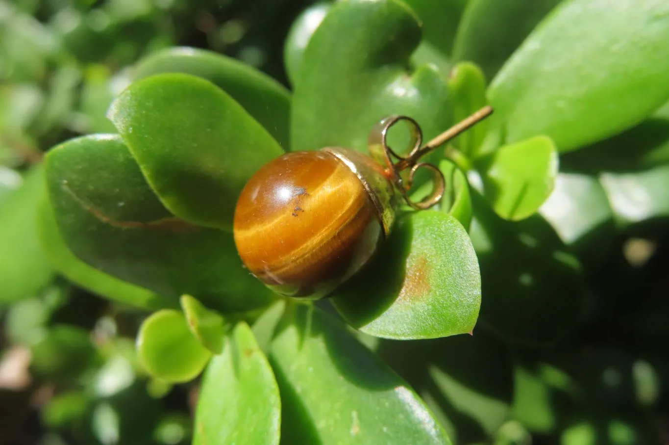 Polished Pair of Golden Tigers Eye Stud Earrings - Sold Per Pair - From Northern Cape, South Africa