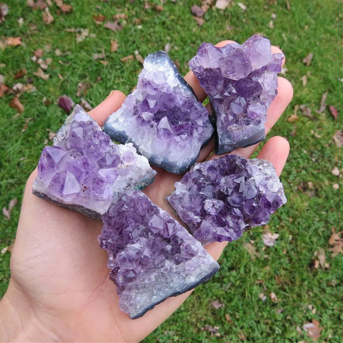 Raw Amethyst Cluster 1.5" | Natural Purple Amethyst Stone